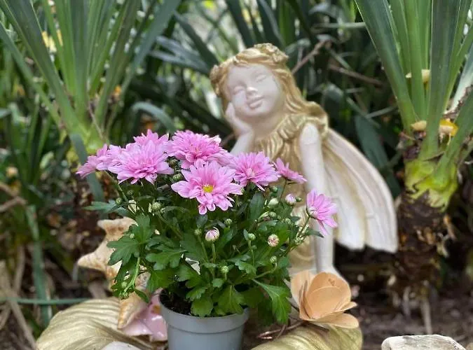 Jacky's House Chernomorets