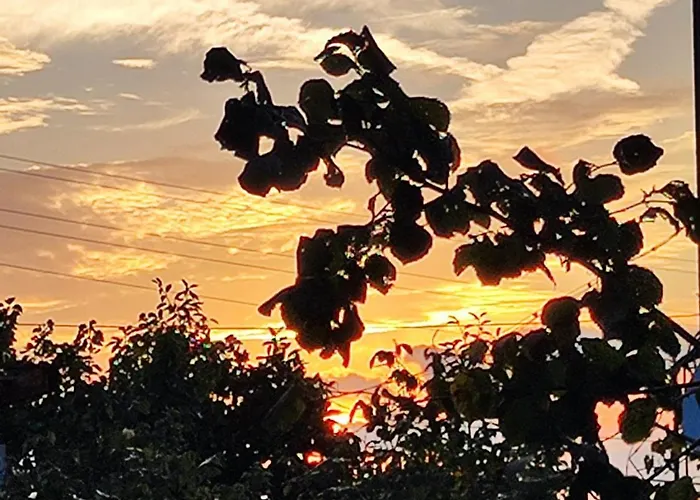 Jacky's House * Chernomorets