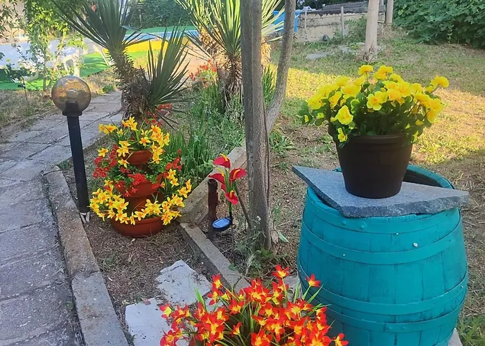 Jacky's House Guest house *